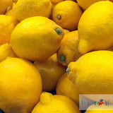 Lemon Sicily | FA