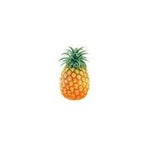 Pineapple | INW